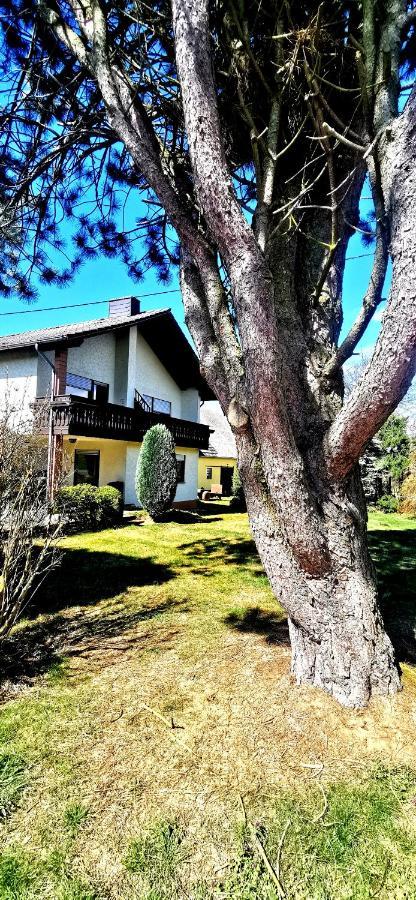 Ferienwohnung Landidylle Nassheck Диблих Екстериор снимка